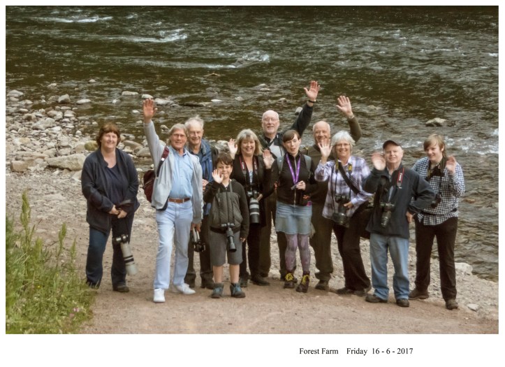 Forest Farm (16062017)